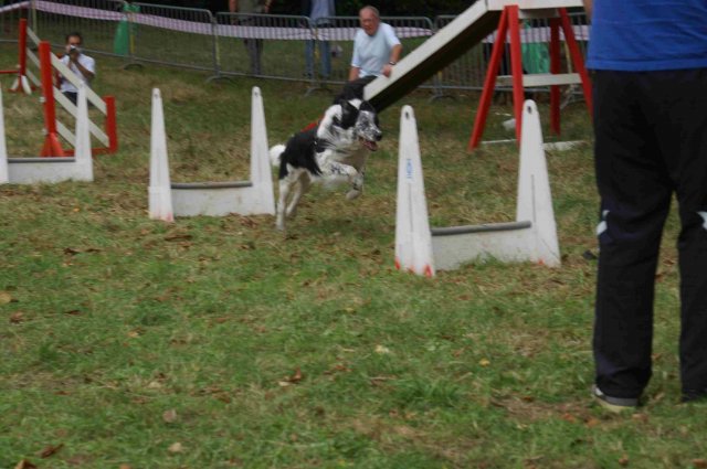 foire-haricots 2011-09-17et18